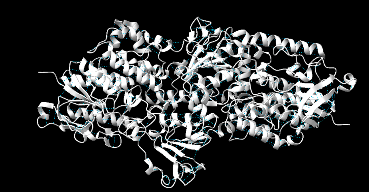 Captura de la imatge