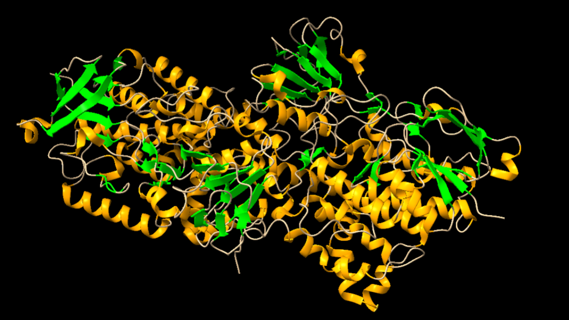 Captura de la imatge