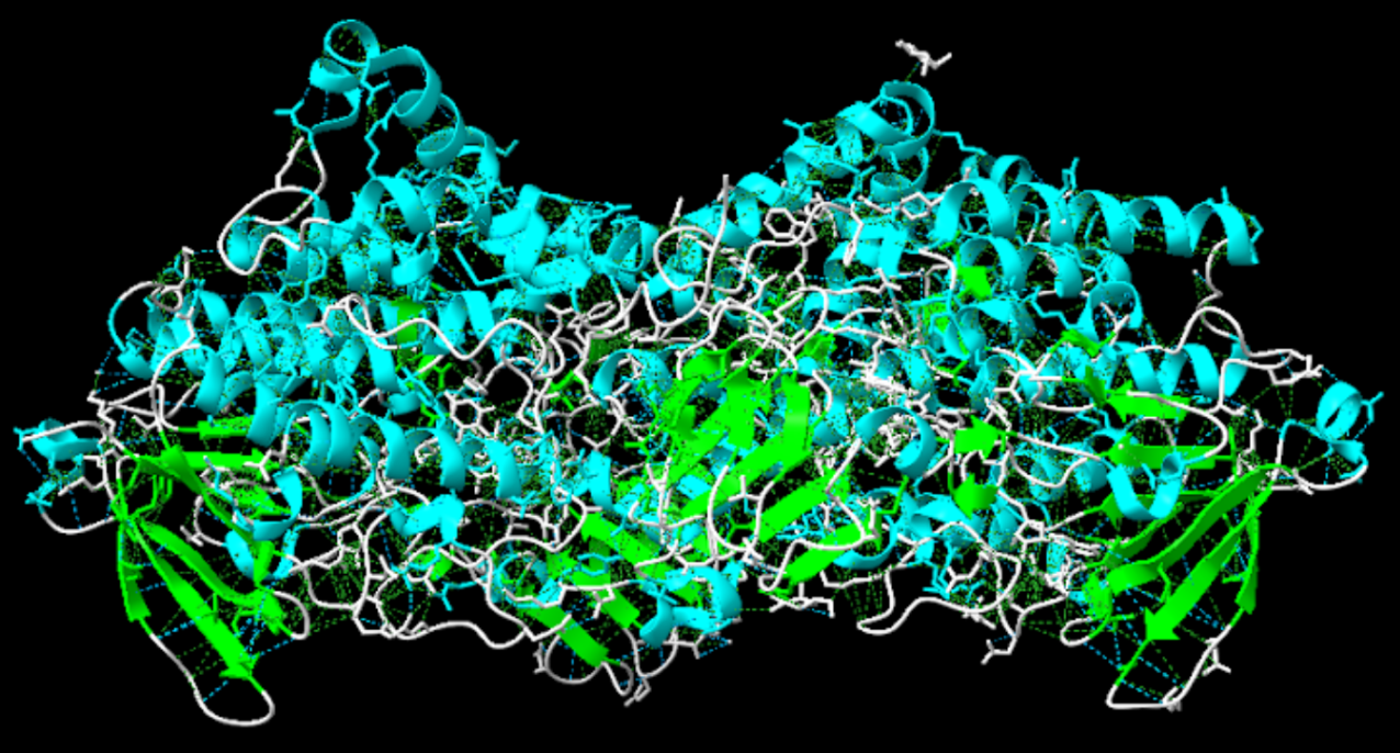 Captura de la imatge