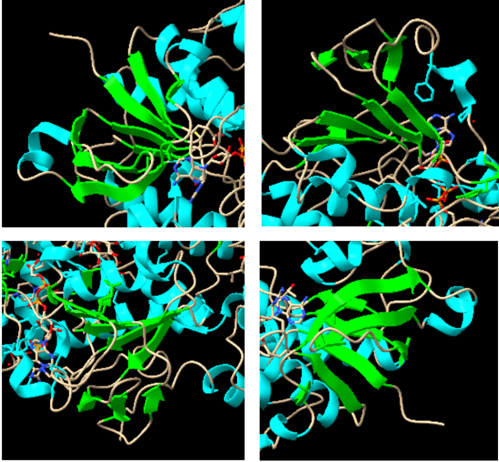 Captura de la imatge