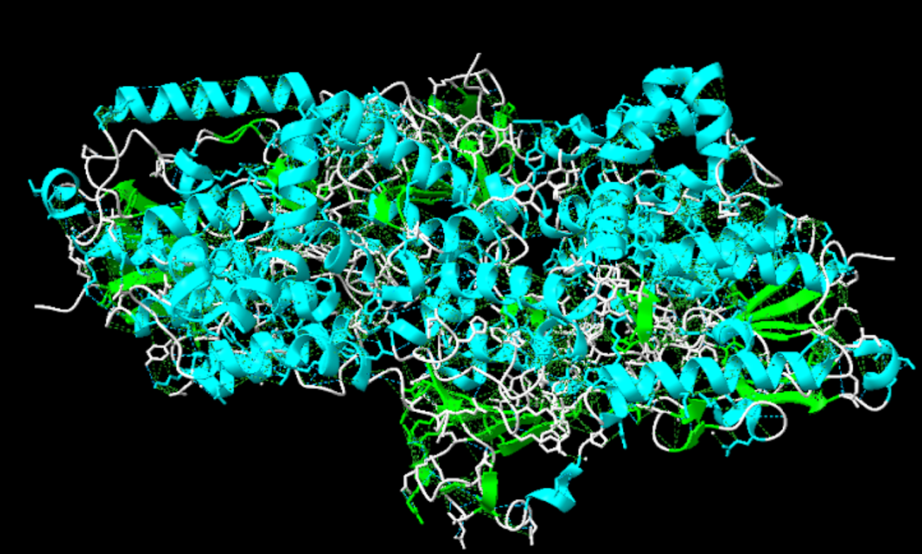 Captura de la imatge