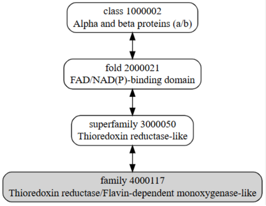 Captura de la imatge