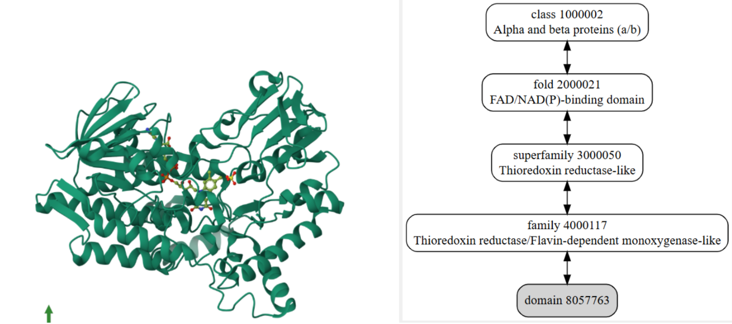 Captura de la imatge