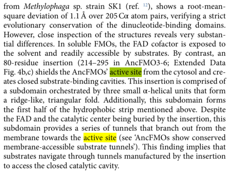 Captura de la imatge