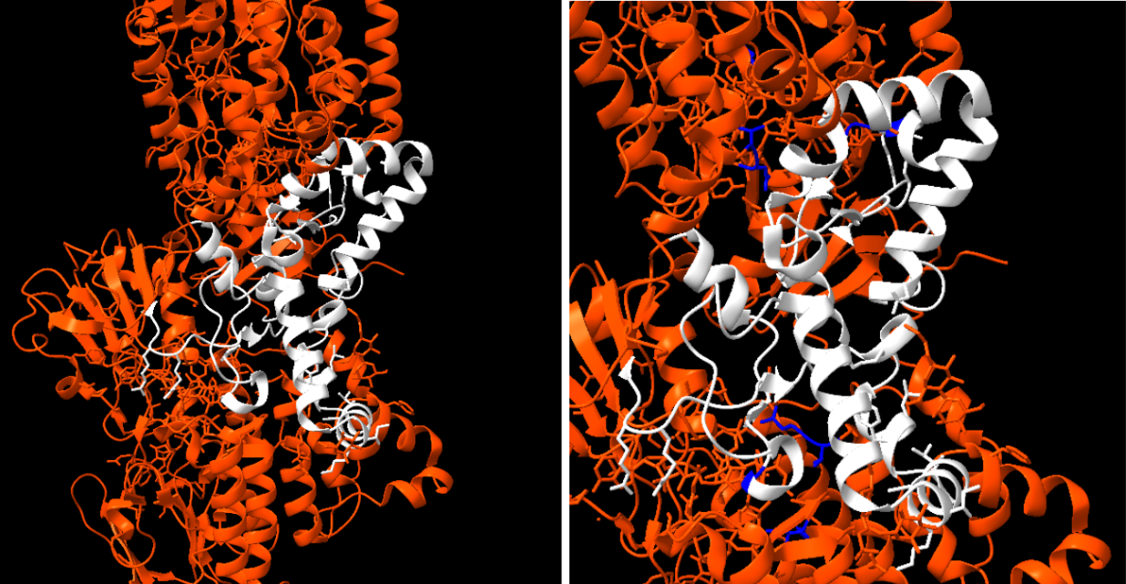 Captura de la imatge