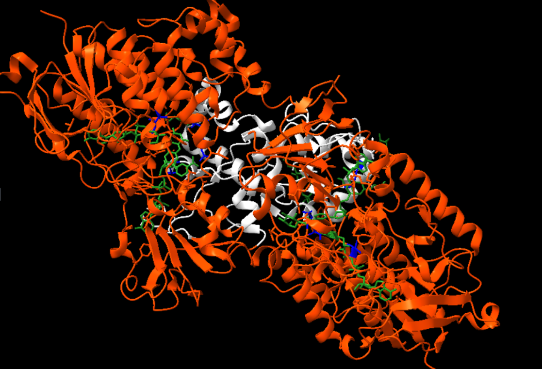 Captura de la imatge