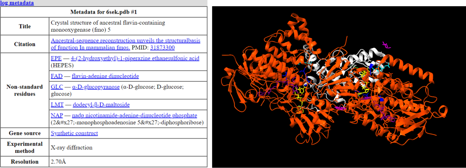Captura de la imatge