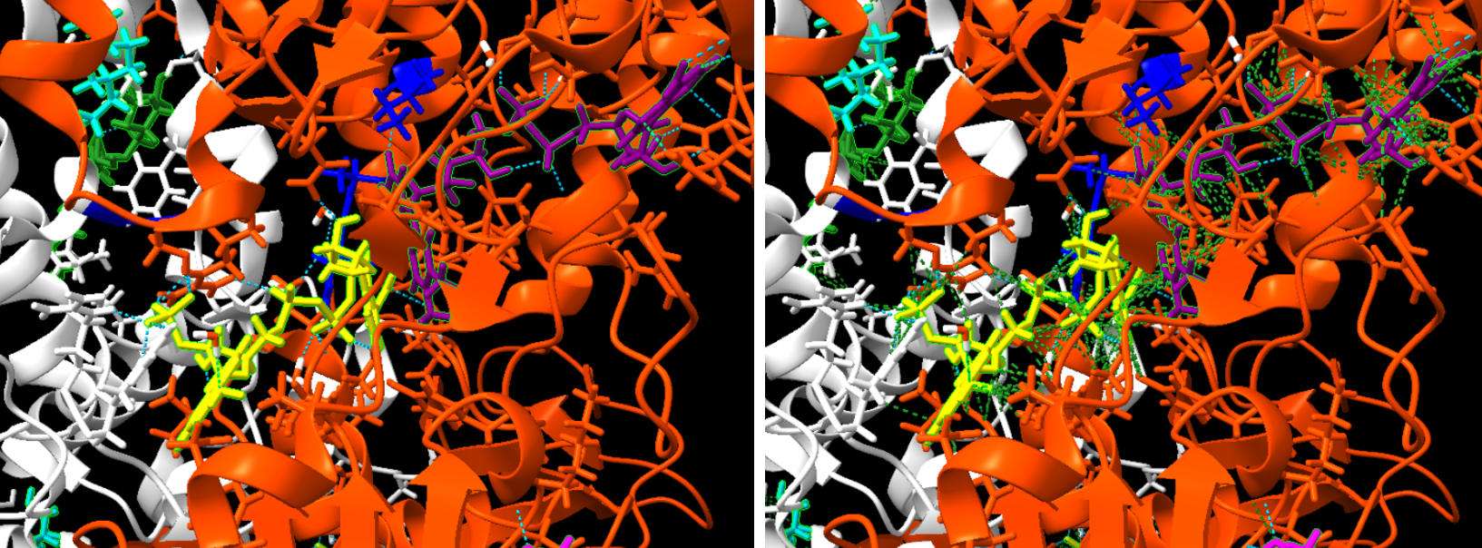 Captura de la imatge