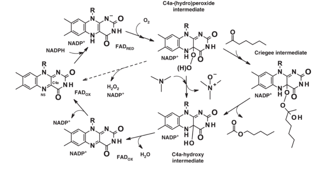 Captura de la imatge