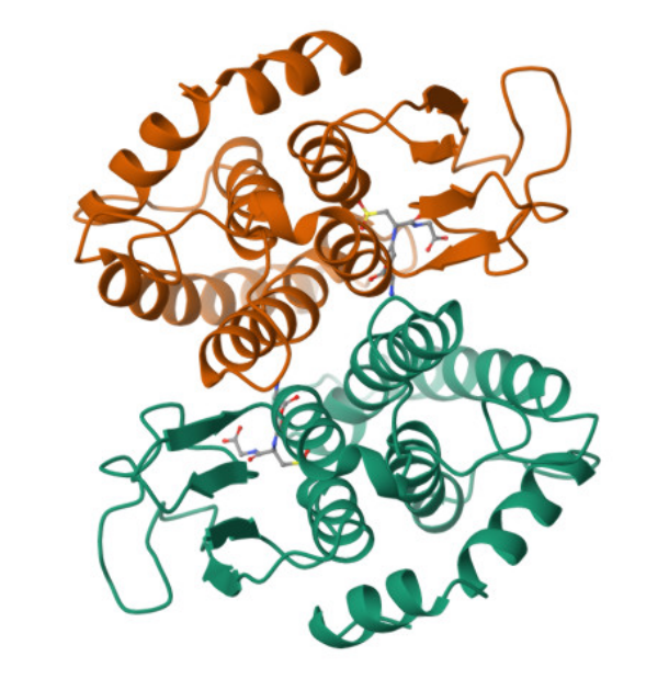 Captura de la imatge