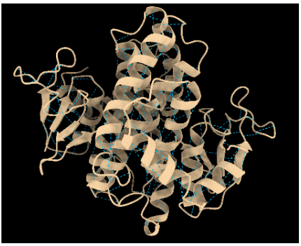 Captura de la imatge