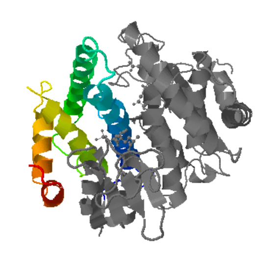 Captura de la imatge