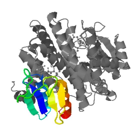 Captura de la imatge