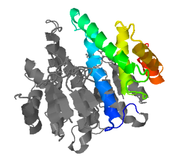 Captura de la imatge