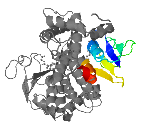 Captura de la imatge