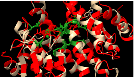 Captura de la imatge