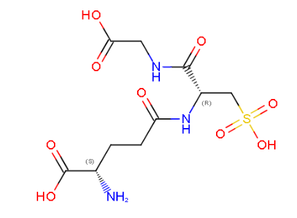 Captura de la imatge
