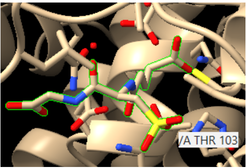 Captura de la imatge