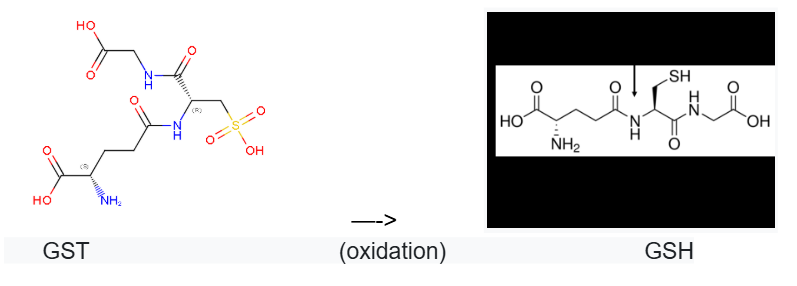 Captura de la imatge