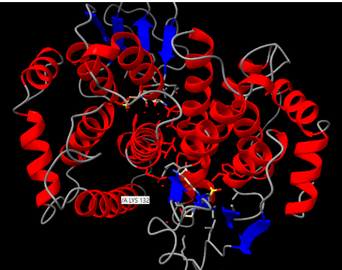 Captura de la imatge
