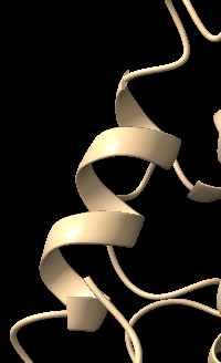 Captura de la imatge