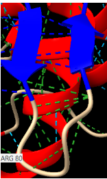 Captura de la imatge