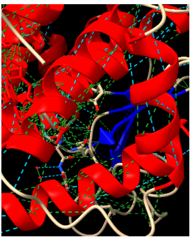 Captura de la imatge