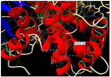 Captura de la imatge