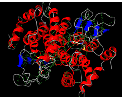 Captura de la imatge