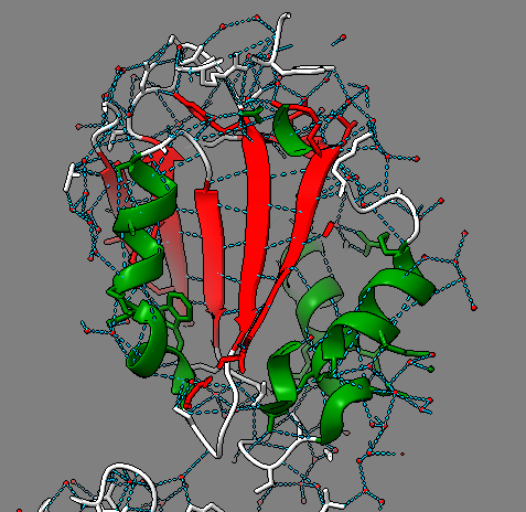 Captura de pantalla 1