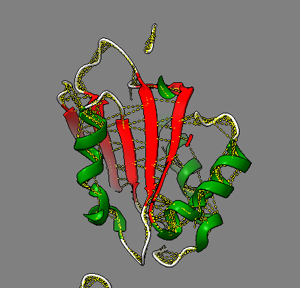 Captura de pantalla 1