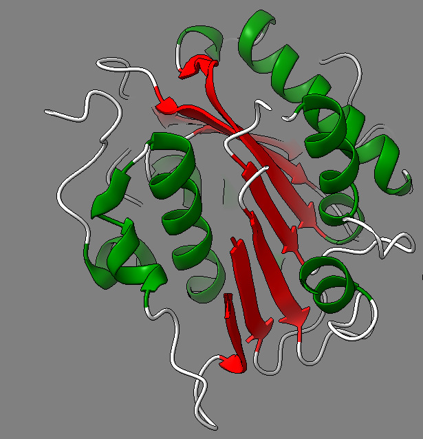 Captura de pantalla 1