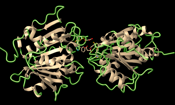 Captura de pantalla 1