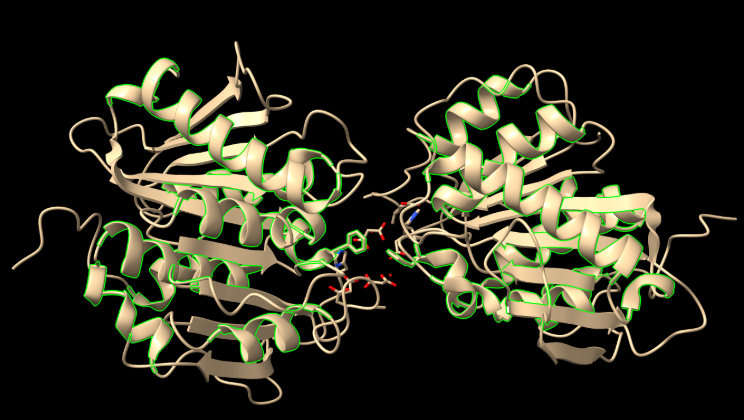 Captura de pantalla 1