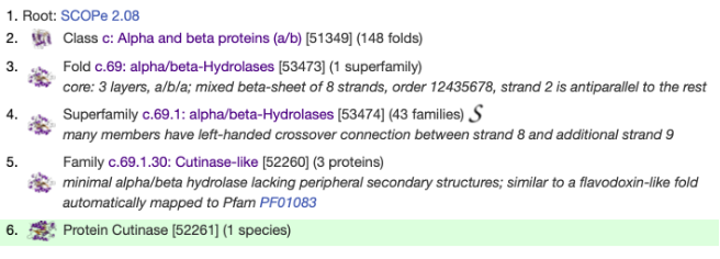 Captura de pantalla 1
