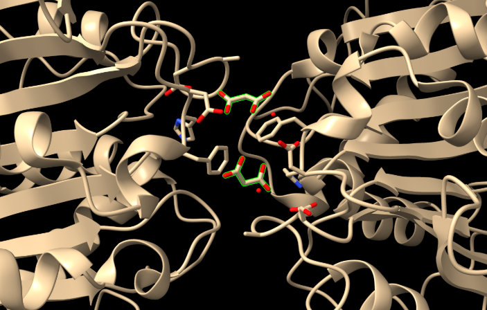 Captura de pantalla 1