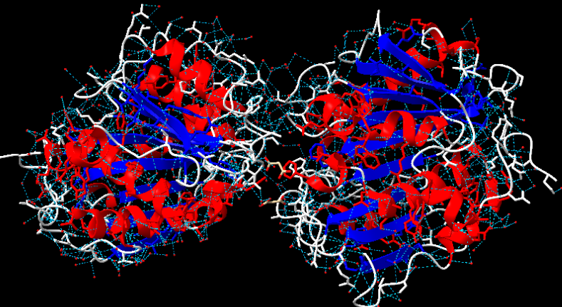 Captura de pantalla 1