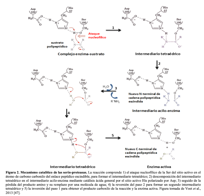 Captura de pantalla 1
