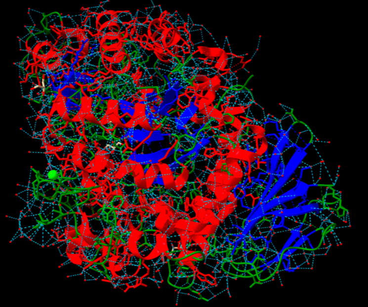 Figura 2: Estructura de la porteïna amb diferenciació de colors segons les estructures