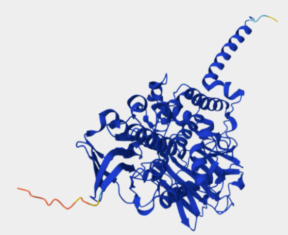 Estructura tridimensional Alphafold