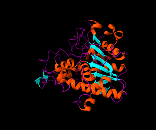 Figura 2. Imatge de la cadena A de la lipasa B. En color lila s’observen les estructures secundàries de coil, en vermell les hèlixs alfa i en blau cel les làmines B.
