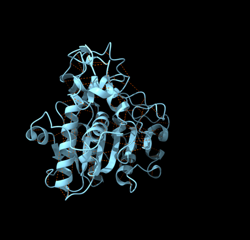 Figura 3. Ponts d’hidrogen.