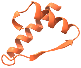 Figura 4. Motiu α-β-α d’una de les subunitats de la lipasa.