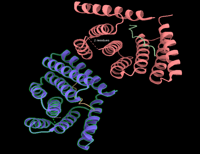 Figura 1. Vista general de l’estructura corresponent al PDB 9CCE (cadena A), representada en mode cartoon i acolorida per cadena.