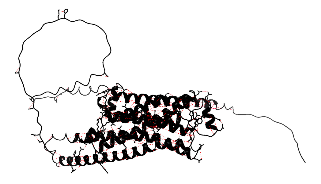 Figura 2. Imatge de les interaccions de ponts d’hidrogen al nostre receptor ADRB2