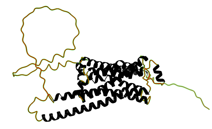 Figura 3b. Coils de la proteïna