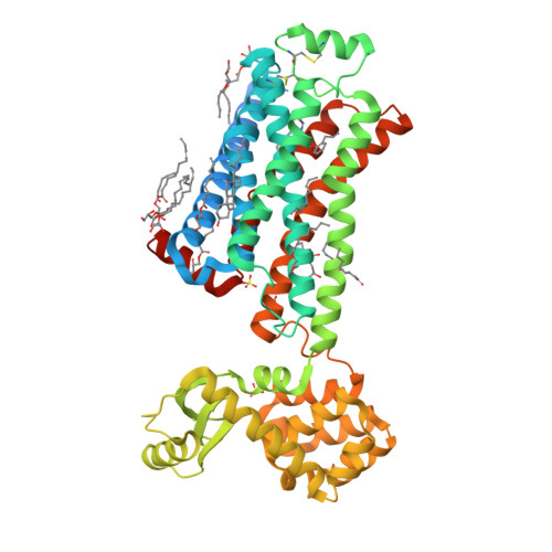 Receptor beta-2 adrenèrgic amb fusió lisozima T4; model estructural de referència per separar receptor i fusió. 