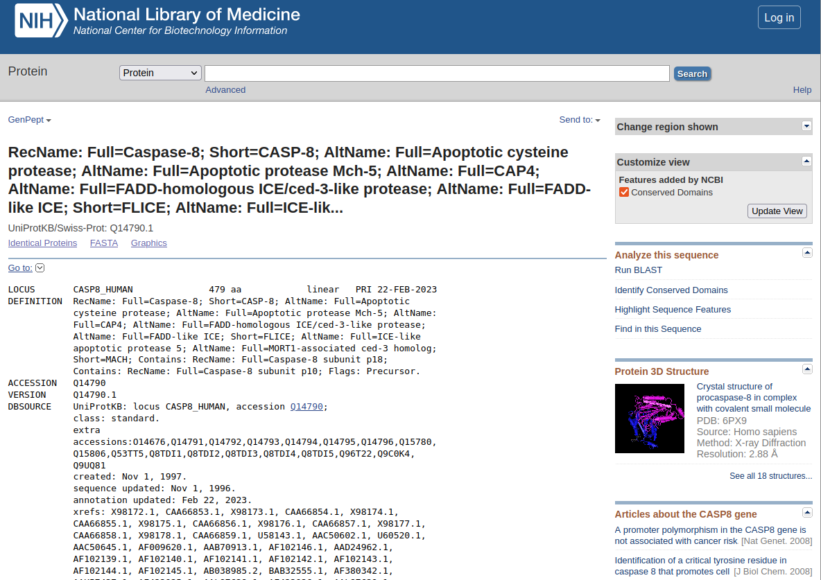 entrada per a la Caspasa 8